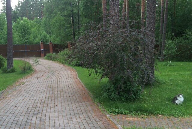 ул Лучистая 13 фото