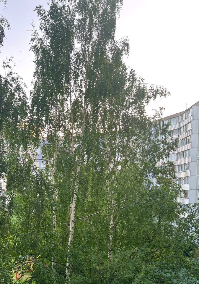 квартира г Киров микрорайон Красная Горка ул Луганская 62 м-н фото 13