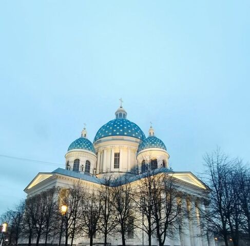 пр-кт Измайловский 7 Технологический институт фото