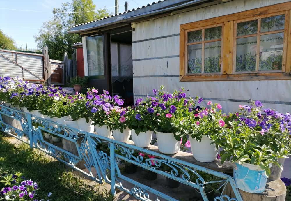 дом г Магадан ул Горького фото 1