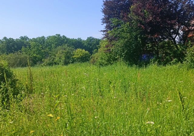 ул Красногорская 184в Хадыженское городское поселение, Апшеронск фото