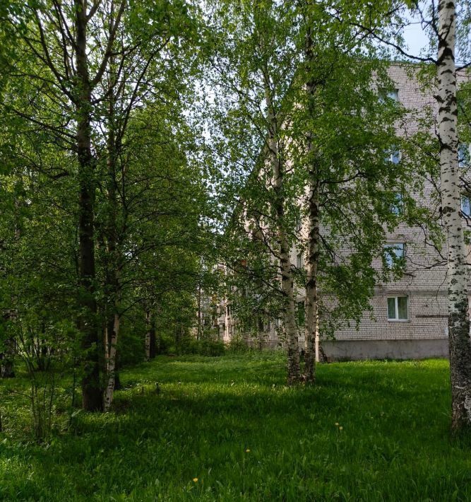 квартира г Архангельск р-н Маймаксанский округ Экономия ул Капитана Хромцова 1 фото 3