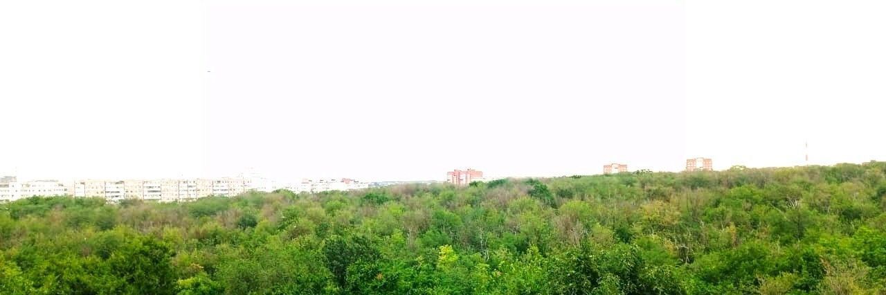 комната г Ростов-на-Дону р-н Первомайский ул Штахановского 22 фото 10