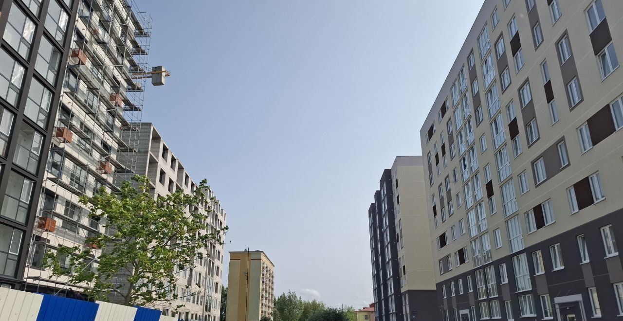 квартира г Калининград р-н Московский ул Поленова 8 фото 7