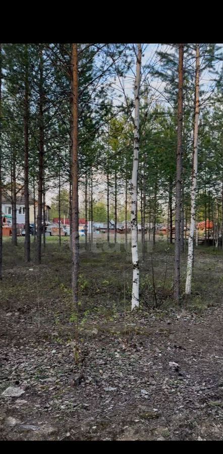 земля г Сургут СТ № 46 Урожай, 19-я линия, Тюменская обл. фото 5