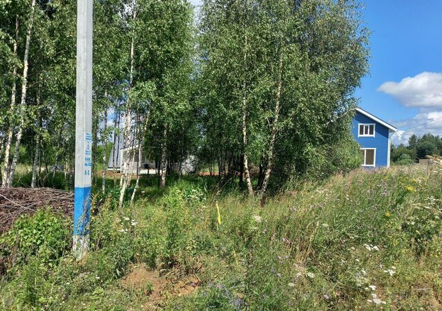 28 км, Икша, Дмитровское шоссе фото