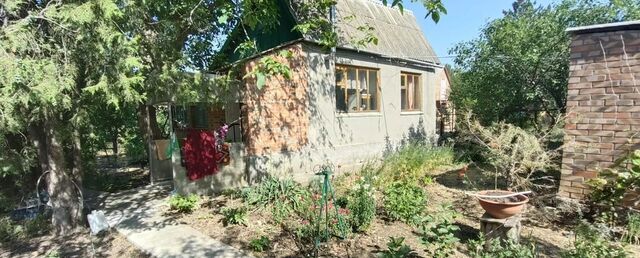 х Морской Чулек снт Энтузиаст Синявское сельское поселение, 65, Синявское фото