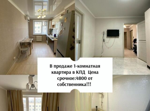 ул Федора Попова 16/1 фото