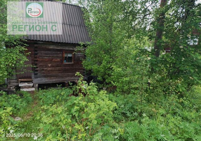снт Судоремонтник 9-я линия, Архангельск фото