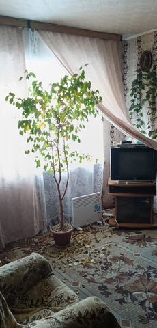 ул Некрасова 31 муниципальное образование фото