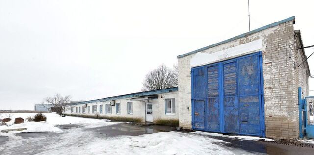 с Анцелович ул Кутузова 33 Морозовское с/пос фото