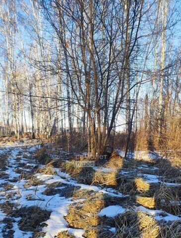 Белые Росы мкр фото