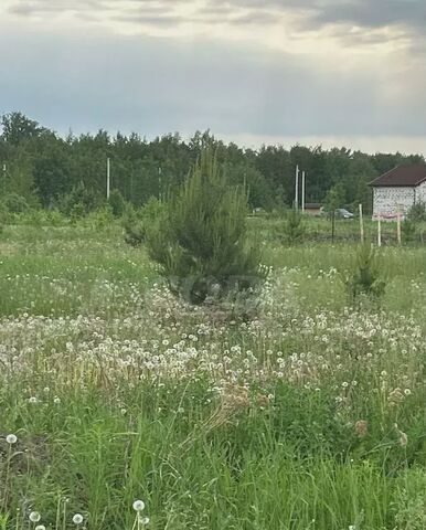 Богандинский фото