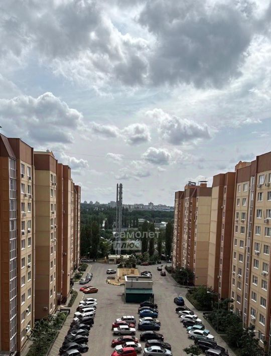 квартира г Воронеж р-н Советский ул 9 Января 175 фото 15