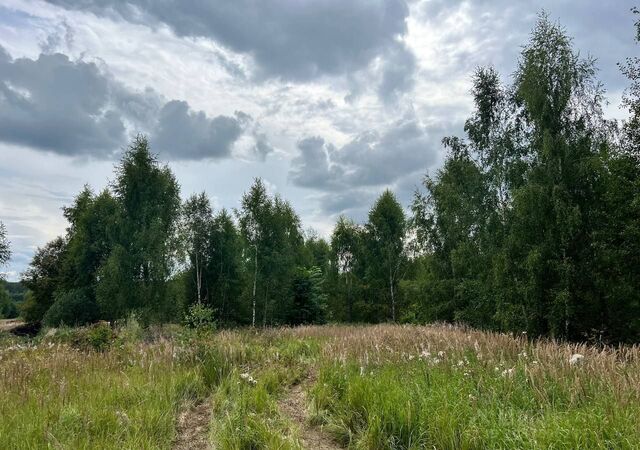 47 км, пос. Новая жизнь Истра, Пятницкое шоссе фото