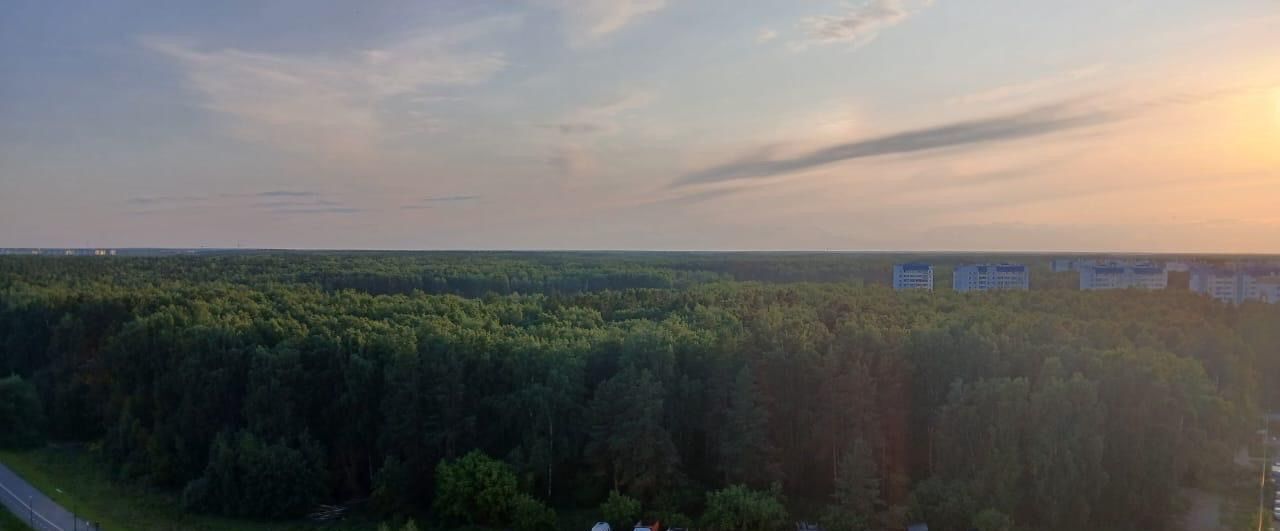 квартира г Челябинск р-н Курчатовский Парковый ул Бейвеля 48 микрорайон «Парковый» фото 11