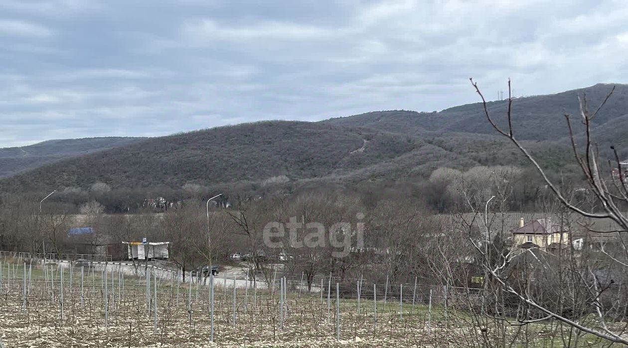 земля г Новороссийск х Камчатка снт Знание фото 5