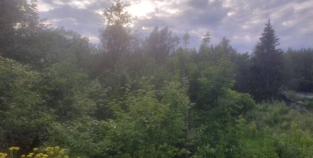 снт Сигнал 70 км, Клин, Ленинградское шоссе фото