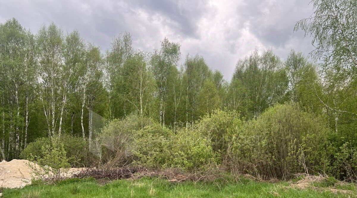земля г Тюмень р-н Ленинский снт Якорь ул Радуга фото 16