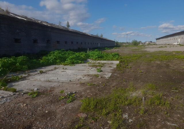 ул Торговая 1 фото