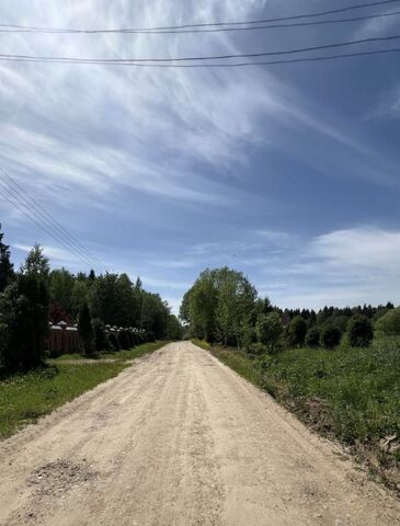 Следневское муниципальное образование, аллея Березовая фото
