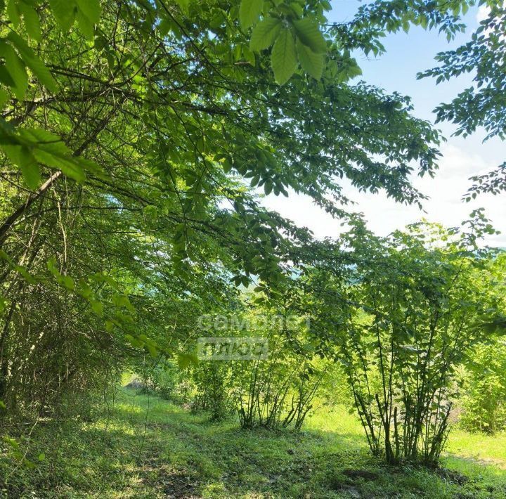 земля г Сочи р-н Адлерский с Красная Воля ул Солнечная фото 5