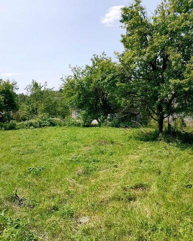Снежское сельское поселение, садоводческое объединение Урожайное, Брянск фото