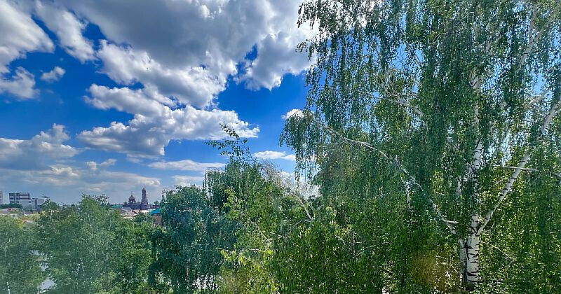 квартира г Тольятти 127-й квартал б-р 50 лет Октября 8 м-н фото 23
