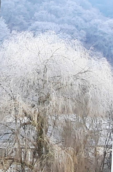 квартира г Нальчик с Хасанья ул Аттоева 13б фото 2