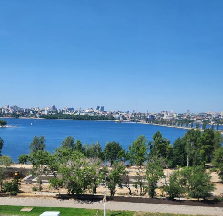 квартира г Воронеж р-н Левобережный пр-кт Ленинский 96а фото 18