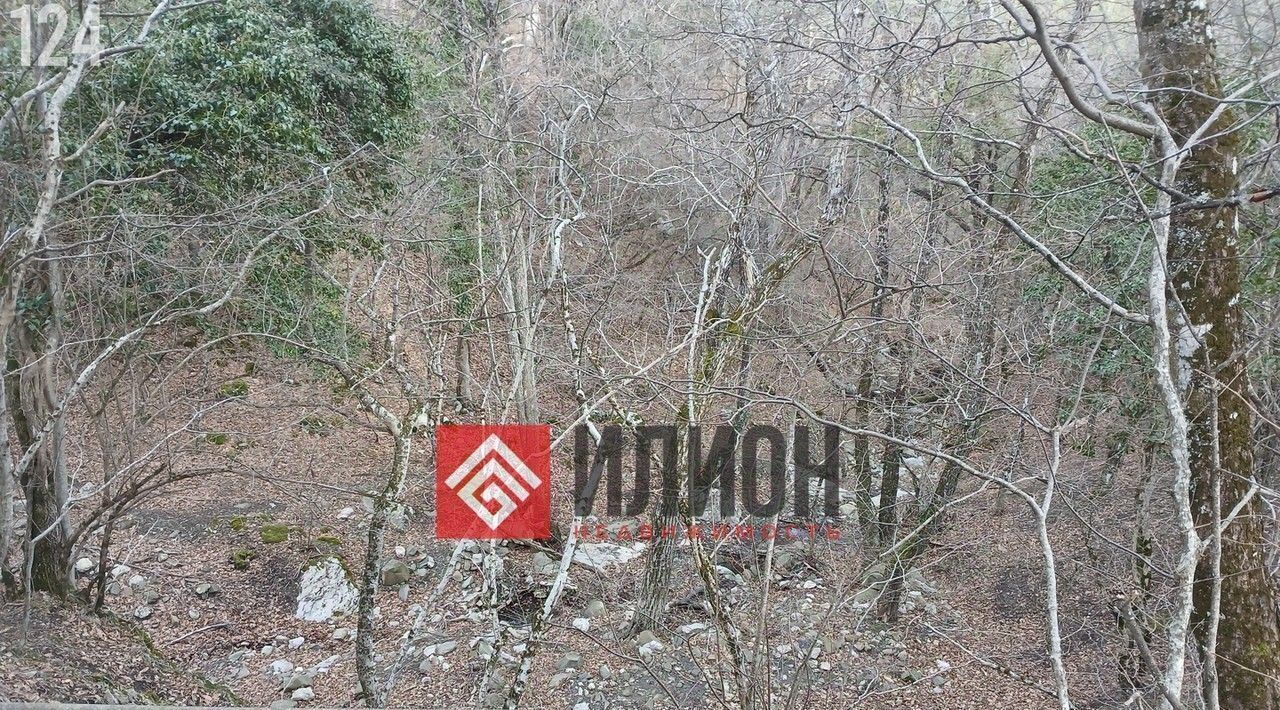 земля г Ялта пгт Краснокаменка пер Фрунзе фото 5