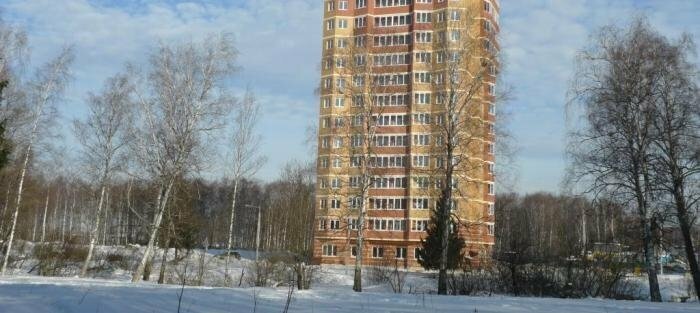 квартира г Лобня ул Борисова 14к/1 Лобня фото 3