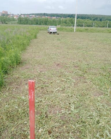 д Богово ул Центральная муниципальное образование, Ефремов фото