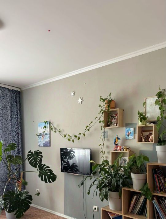 квартира г Омск р-н Центральный ул 21-я Амурская 41/3 фото 13