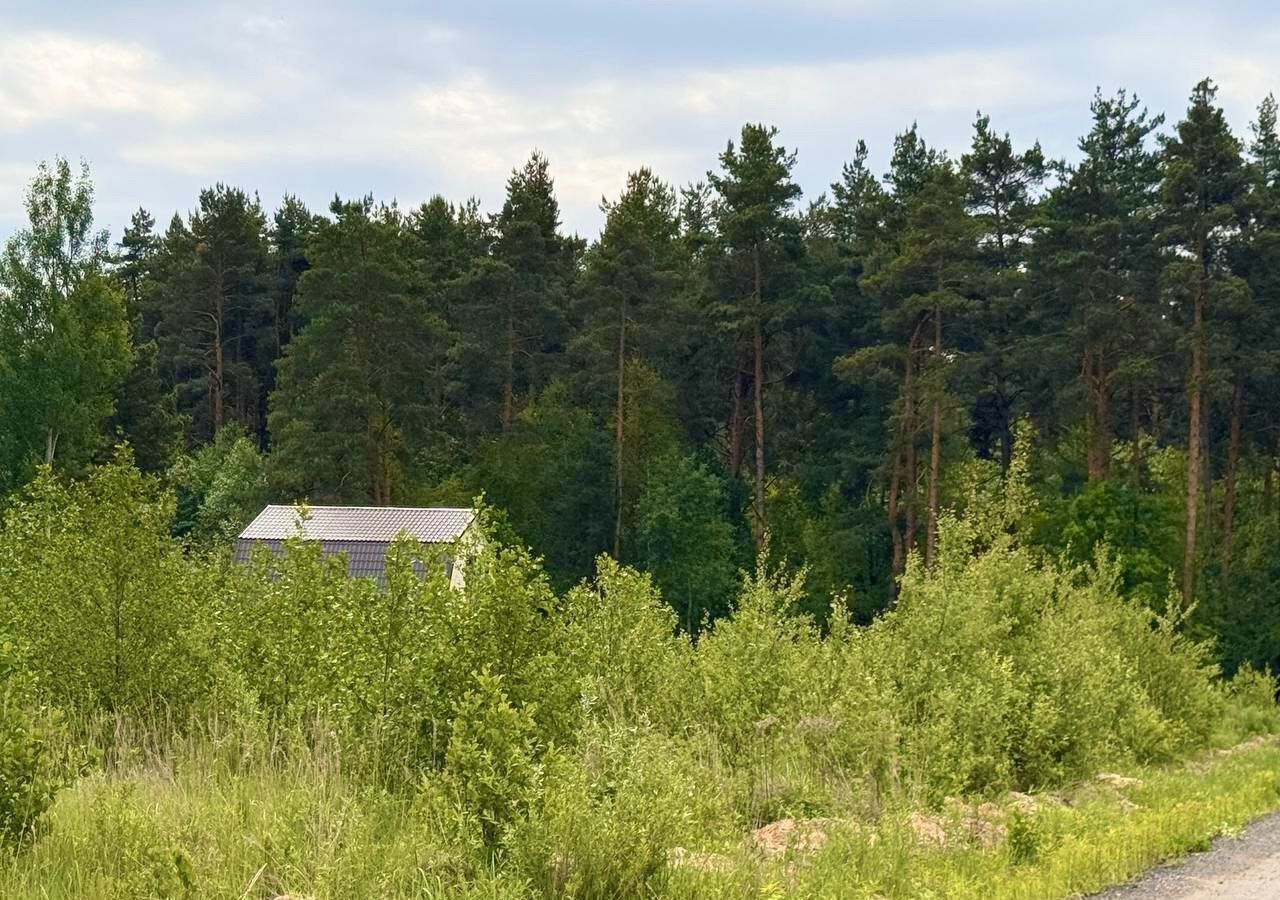 земля городской округ Богородский г Электроугли 23 км, Носовихинское шоссе фото 3