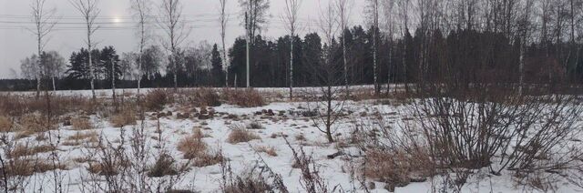 ул Дружная фото