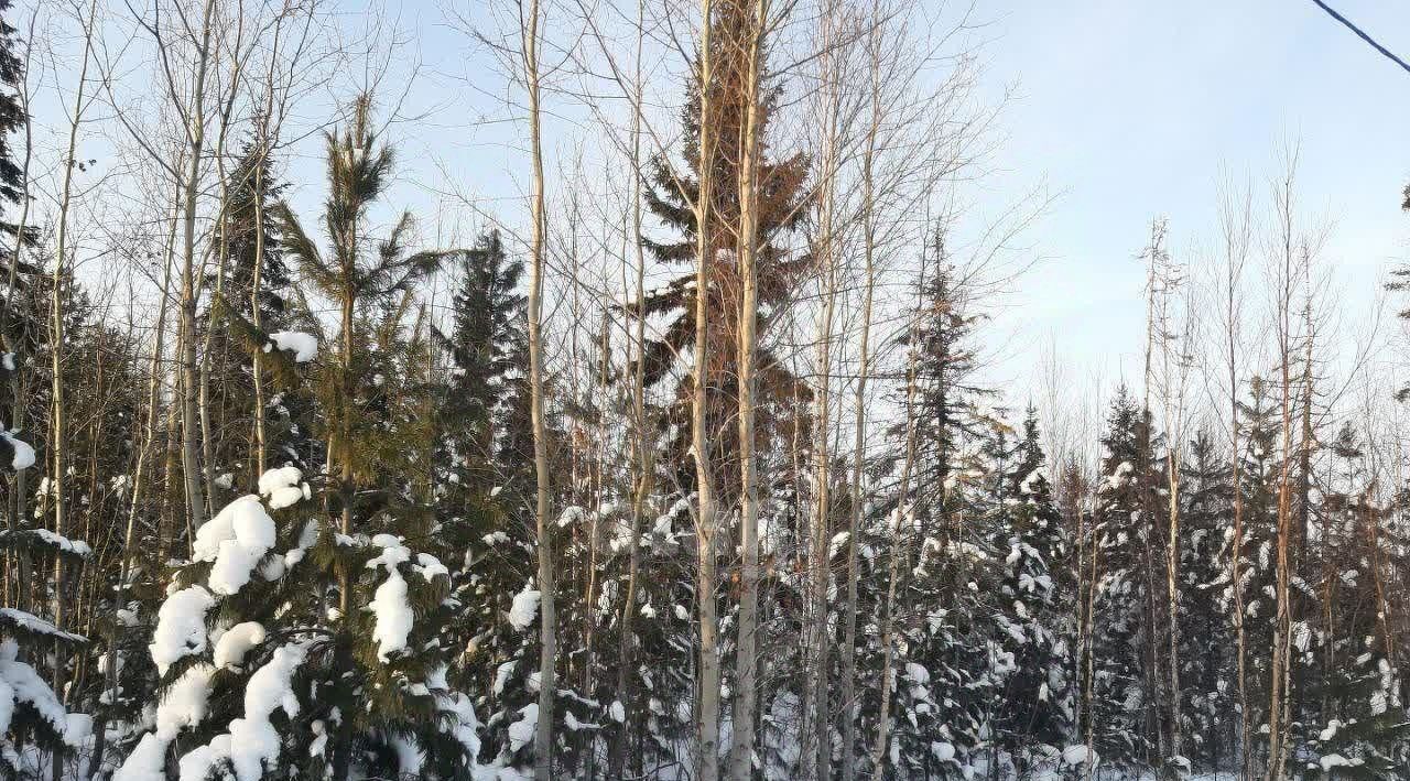 земля г Ханты-Мансийск фото 1