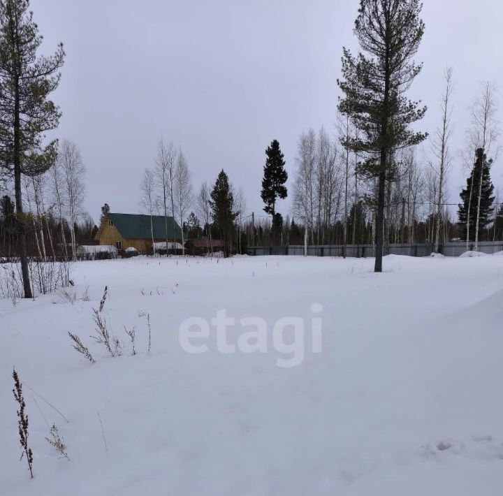 земля г Ханты-Мансийск снт Геофизик-2 СОТ фото 5