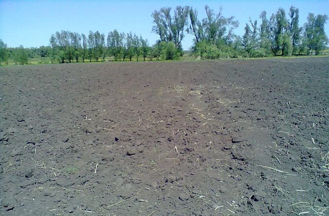Ульяновская область, Новочеремшанск фото