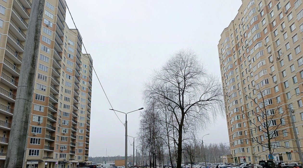 квартира г Раменское ул Крымская 4 микрорайон «Зеленая околица» Ипподром фото 16