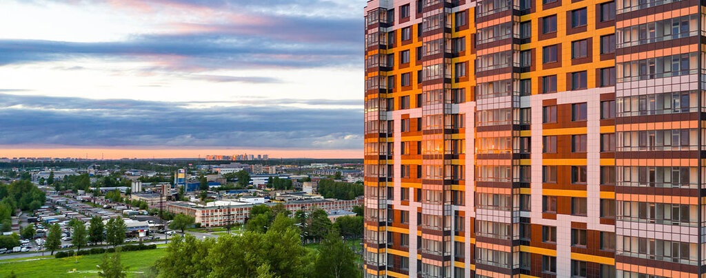 квартира г Санкт-Петербург метро Ладожская ул Лагоды 5 фото 11
