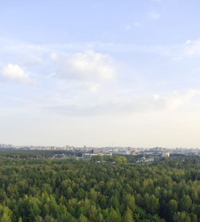 квартира г Санкт-Петербург метро Проспект Просвещения пр-кт Орлово-Денисовский 15к/1 фото 10