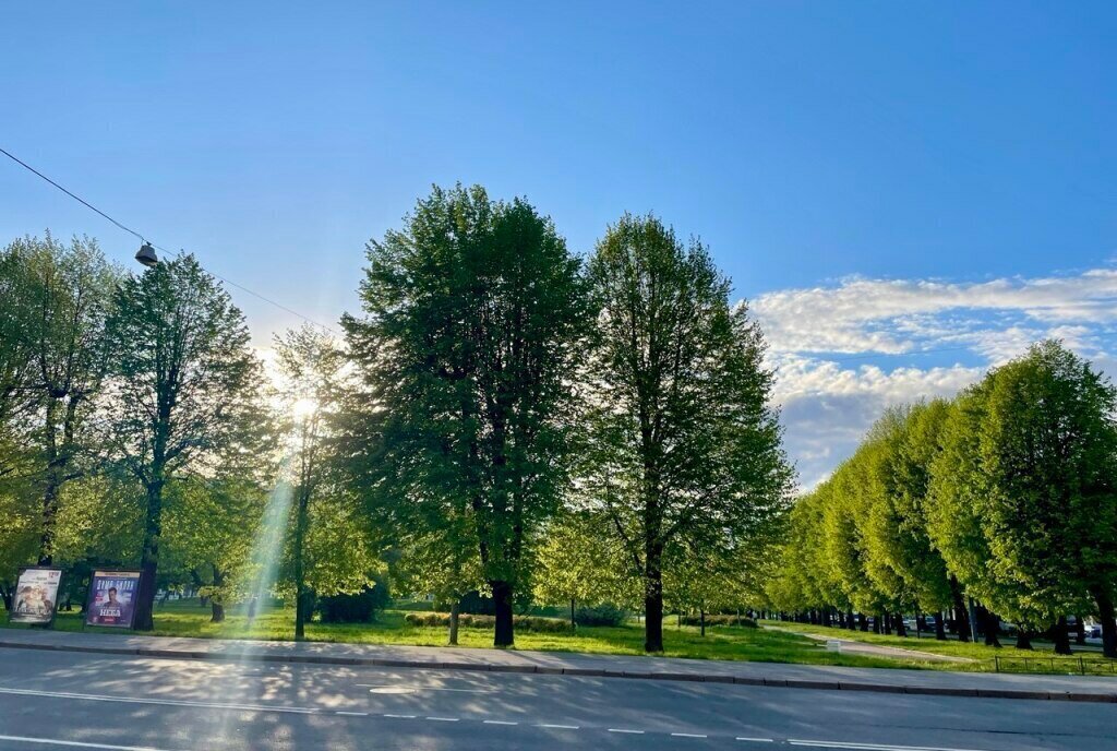 квартира г Санкт-Петербург метро Автово ул Зенитчиков 5 фото 26