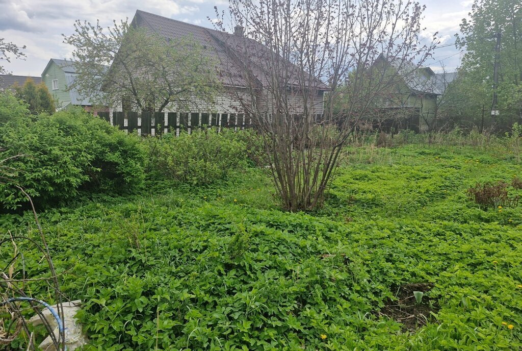 земля городской округ Богородский г Ногинск снт Ромашка 355 фото 6