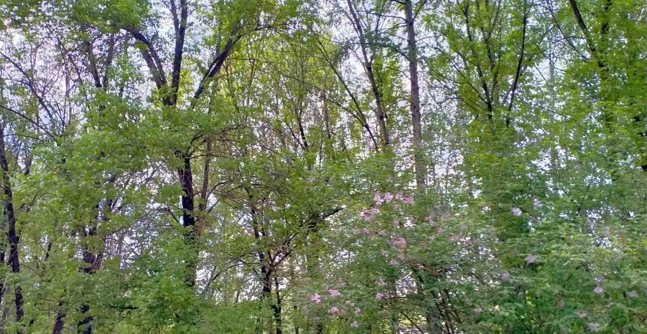 квартира г Тверь р-н Московский ул Королева 14/2 фото 18
