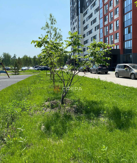 квартира г Новосибирск ул Спортивная 43 Площадь Маркса фото 4