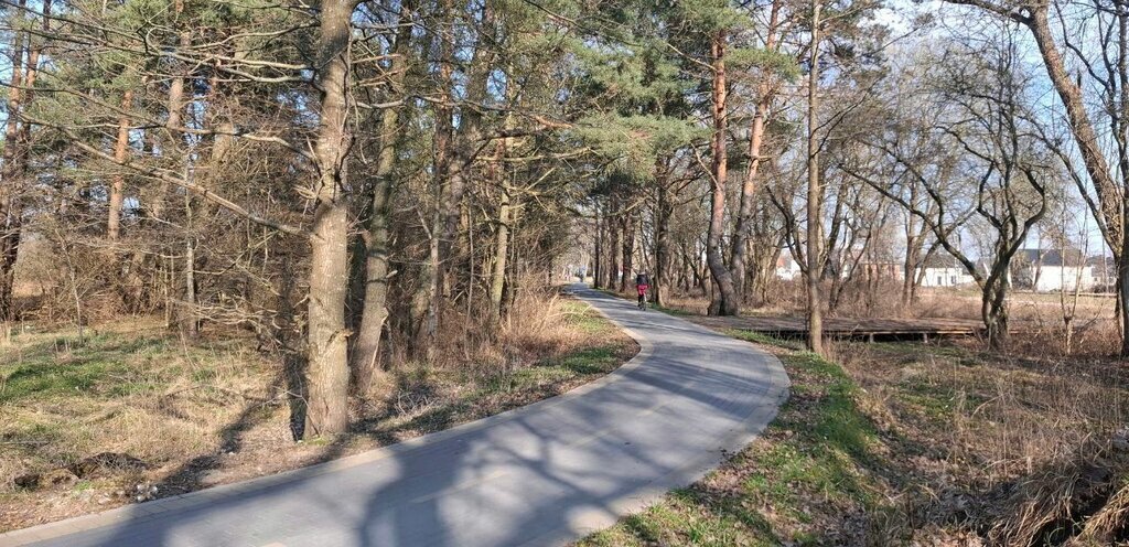 квартира р-н Зеленоградский г Зеленоградск ЖК «Яркий» фото 15