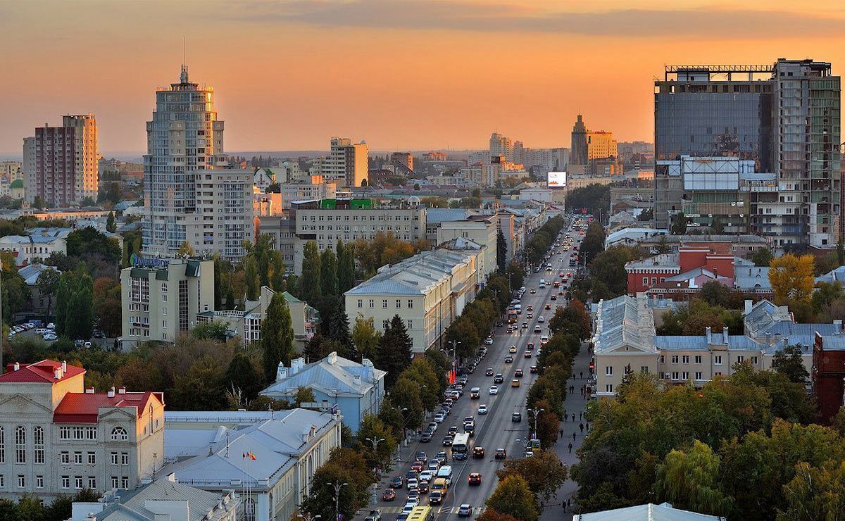 квартира г Воронеж р-н Ленинский ул Куколкина 18 фото 7