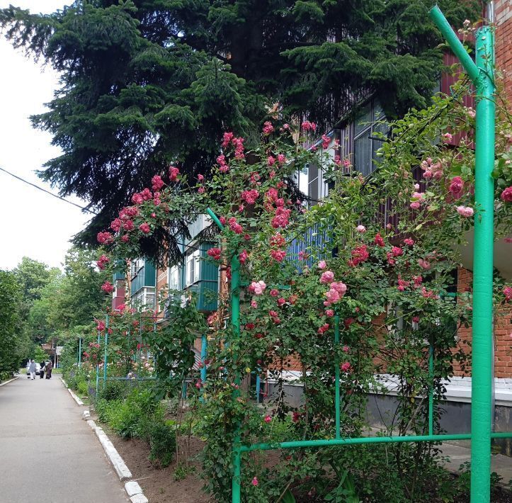 квартира г Майкоп ул Димитрова 11/2 фото 2