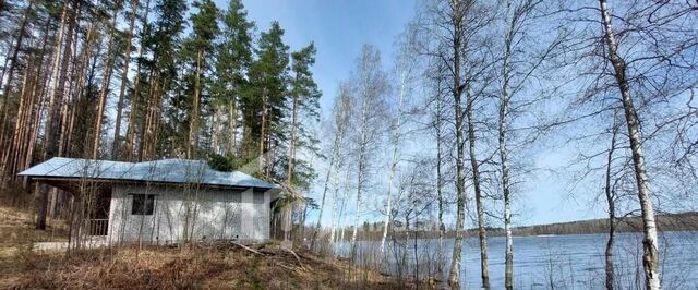 п Михалево Каменногорское городское поселение фото